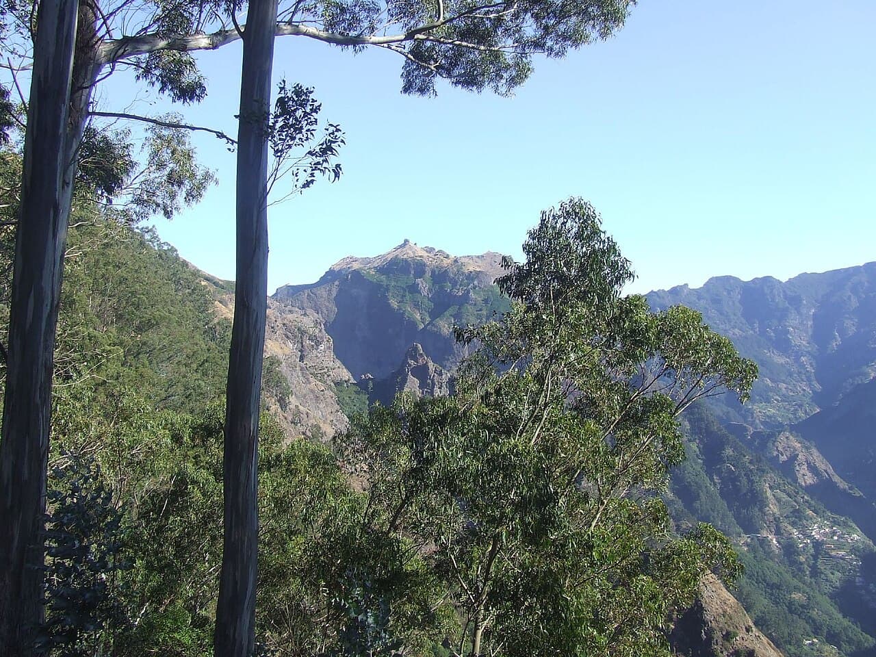 Above the Clouds — Mount Dimats